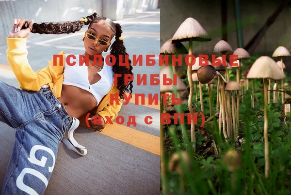 герыч Бородино
