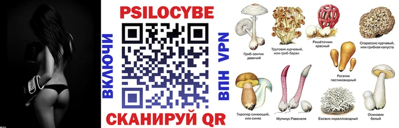 мега tor  Грозный  Псилоцибиновые грибы GOLDEN TEACHER 